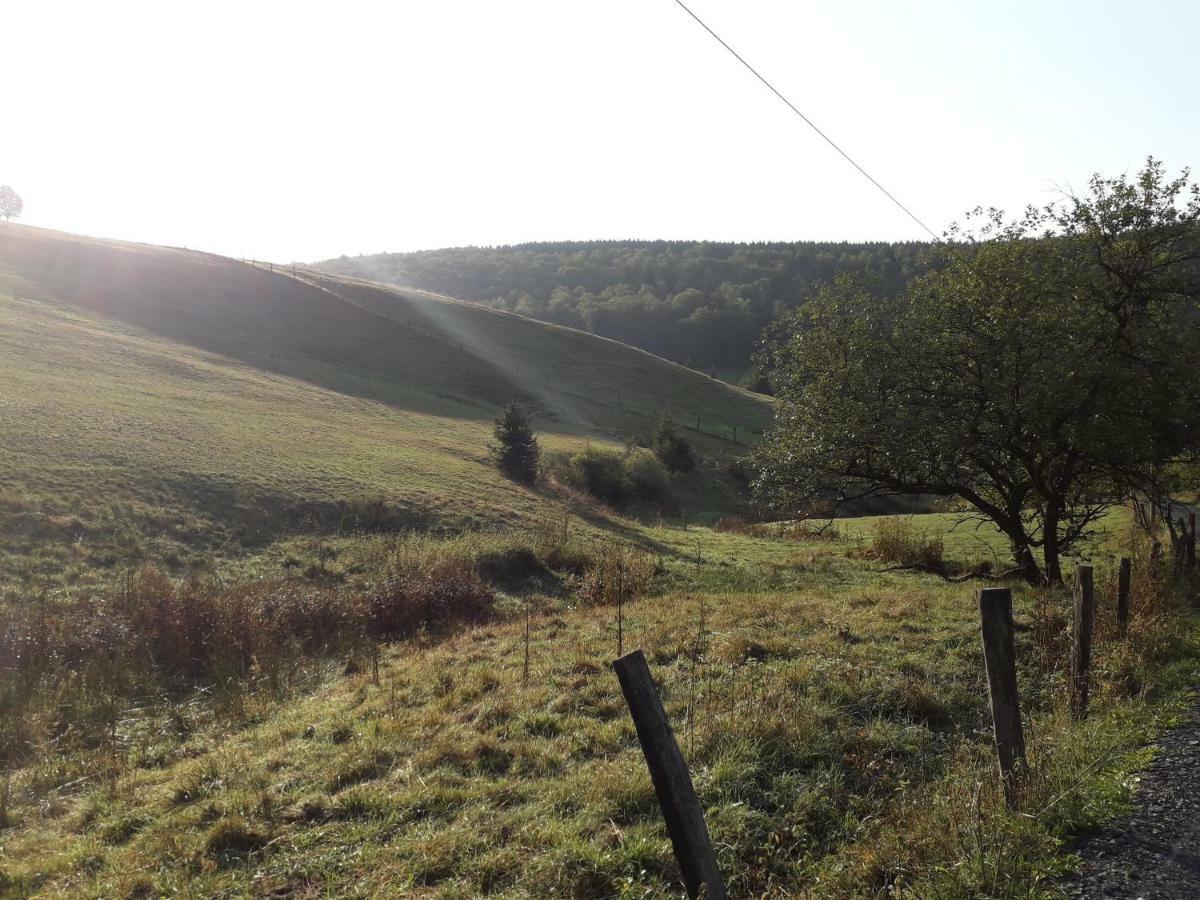 Haus Wald-Eck Leilighet Schmallenberg Eksteriør bilde